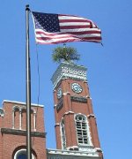 438940-courthouse_tree_flag.jpg