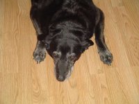 488579-old girl.JPG