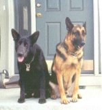 8-90789-Gunner&Atlas.jpg