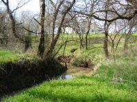 397074-Creek.jpg