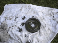 488965-IM000752.gif
