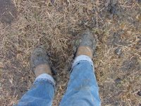 349510-Image010.jpg
