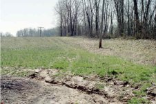 397359-IMG20.JPG