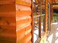 490068-IMG00000001.jpg