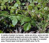 440100-spring-pi-field2-z7.jpg