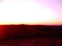 398096-view 10.24.03.e.jpg
