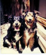 8-92645-MontySheby.jpg