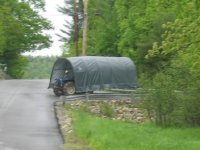 871113-polecat.JPG