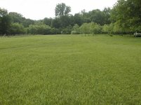 35-92825-landone.jpg