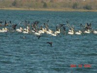 6-92865-lake2.jpg