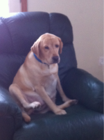 image-92253777.png