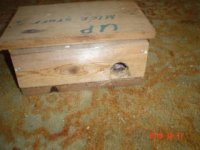 Copy of Jaguar 010.JPE