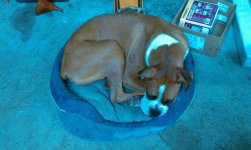 IMAG0571.jpg