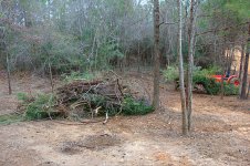 project-20110116-1.jpg