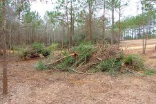 project-20110116-2.jpg
