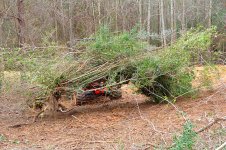 project-20110116-3.jpg