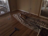 0201101616a.jpg