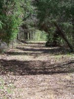 100_2883.jpg