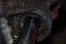DSC_1398.jpg