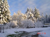 SnowGaots2010 006.jpg