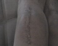 img040.jpg