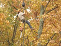 Worker being deliverd by crane.jpg