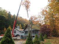 Tops cut off and removed by crane.jpg