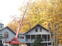 Worker cutting back trees.jpg