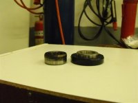 Seal collar old and new.JPG