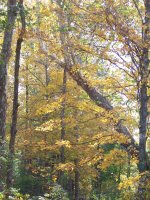 100_3193.jpg