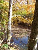100_3202.jpg