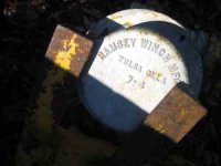 Ramsey winch pic 1.jpg
