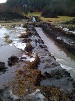 Culvert by out Bldg south view.jpg