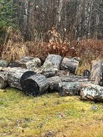 IMG_20241128_163220.jpg