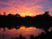 Lake Marabou 203.jpg