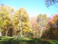 DSC03086.JPG