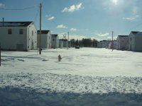 DSC016231.jpg