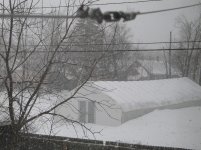 hh in winter 2010.jpg