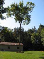 IMG_1980.jpg