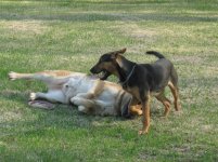IMG_1281.jpg