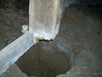 DSCN2647.jpg