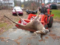 9point 023.jpg