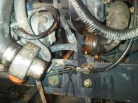IMG00092-20110119-1414.jpg