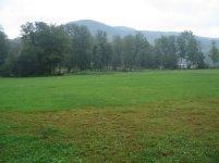 IMG_1708.jpg