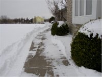 Walk plow.jpg