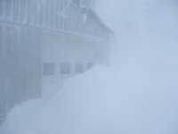 winter2.jpg