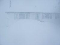 winter4.jpg