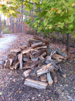 image-1867254903.png