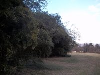 000_0008.JPG