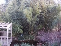 000_0013.JPG